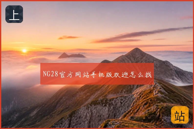 NG28官方网站手机版欢迎怎么找