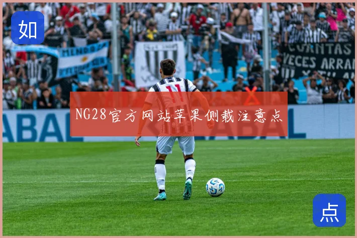 NG28官方网站苹果侧载注意点